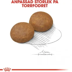 Royal Canin Koiran Kuivaruoka*Maxi Adult 5+ 2 x 15kg