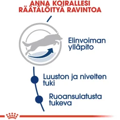 Royal Canin Koiran Kuivaruoka*Maxi Adult 5+ 2 x 15kg