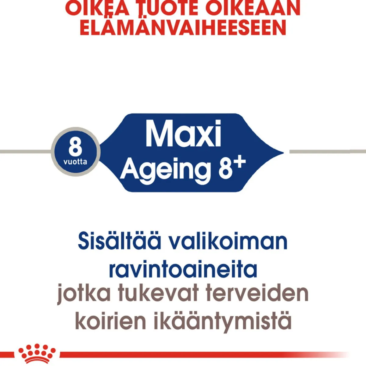 Royal Canin Koiran Kuivaruoka|Senioriruoka*Maxi Ageing 8+, 15 kg