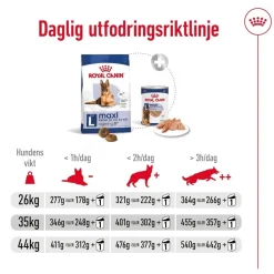 Royal Canin Koiran Kuivaruoka*Maxi Ageing 8+ 2 x 15kg