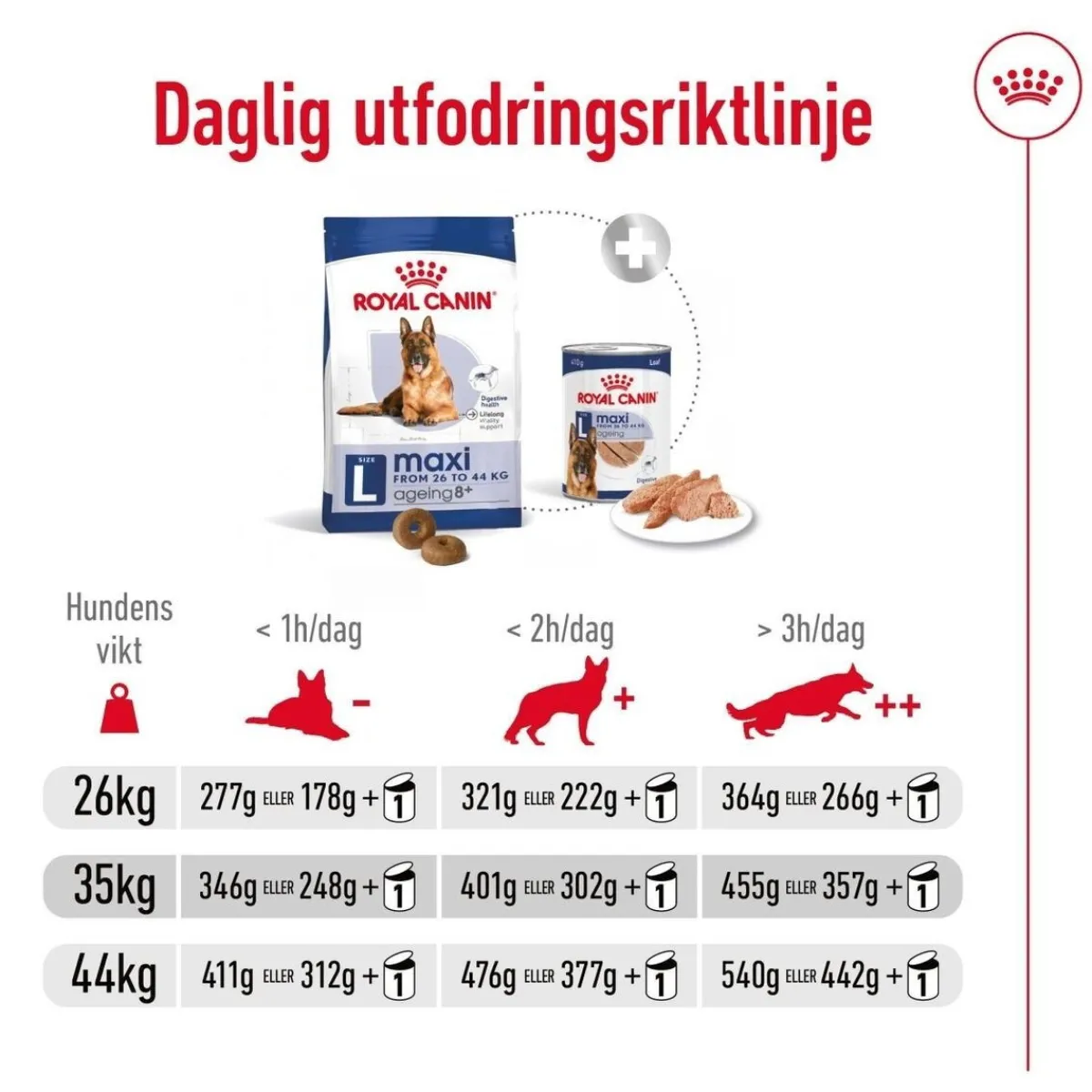 Royal Canin Koiran Kuivaruoka*Maxi Ageing 8+ 2 x 15kg