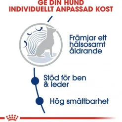 Royal Canin Koiran Kuivaruoka*Maxi Ageing 8+ 2 x 15kg