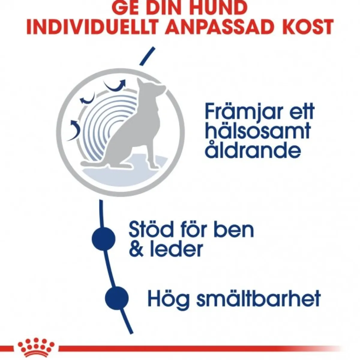 Royal Canin Koiran Kuivaruoka*Maxi Ageing 8+ 2 x 15kg