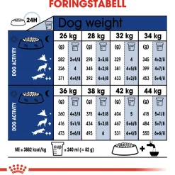 Royal Canin Koiran Kuivaruoka*Maxi Ageing 8+ 2 x 15kg