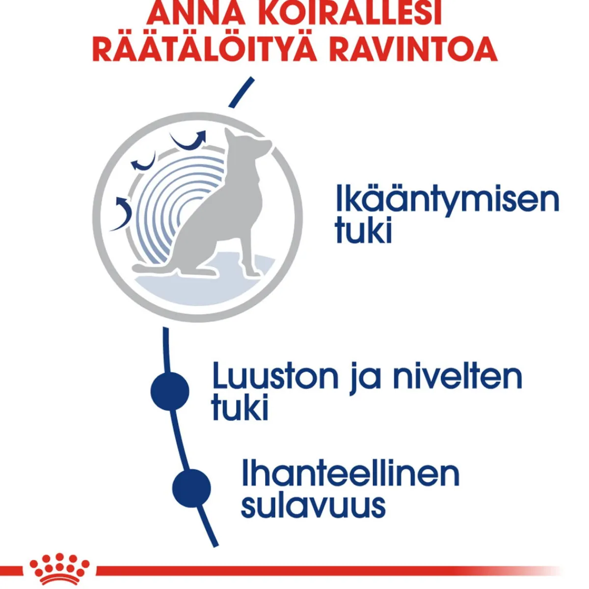 Royal Canin Koiran Kuivaruoka*Maxi Ageing 8+ 2 x 15kg