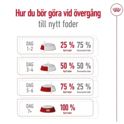 Royal Canin Koiran Kuivaruoka*Maxi Ageing 8+ 2 x 15kg