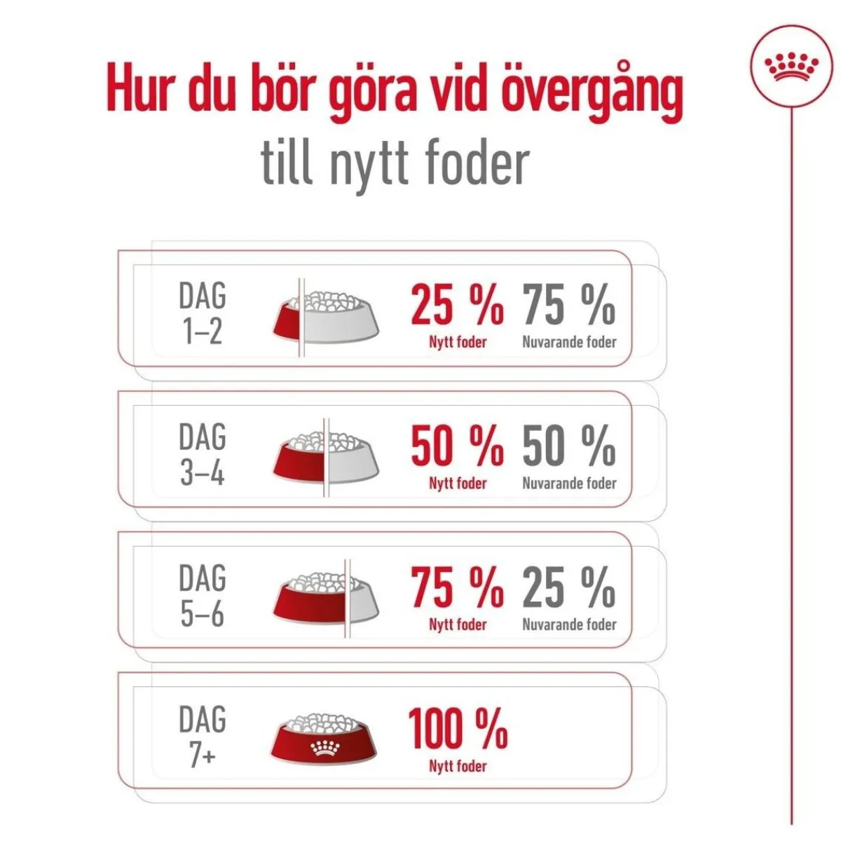 Royal Canin Koiran Kuivaruoka*Maxi Ageing 8+ 2 x 15kg
