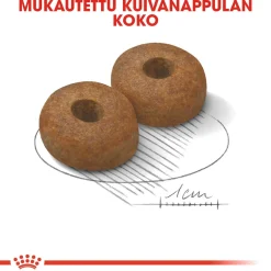 Royal Canin Koiran Kuivaruoka*Maxi Ageing 8+ 2 x 15kg