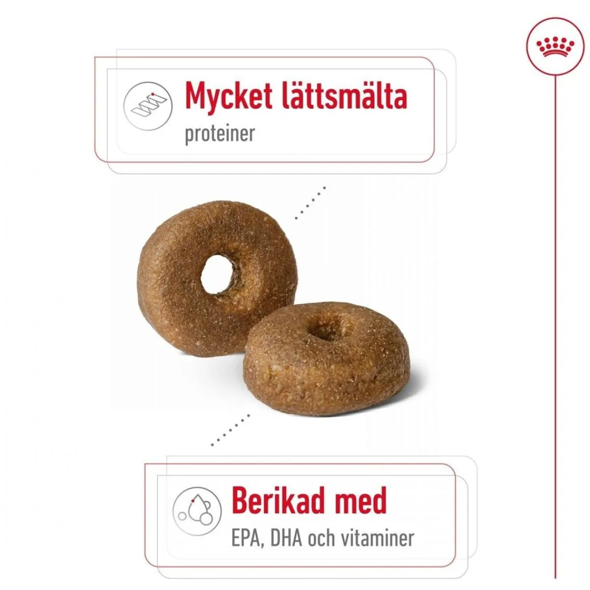 Royal Canin Koiran Kuivaruoka*Maxi Ageing 8+ 2 x 15kg