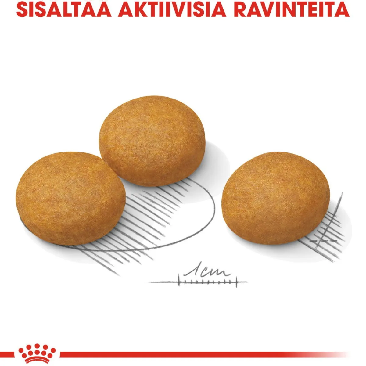 Royal Canin Koiranruoat Erityistapeisiin|Koiran Kuivaruoka*Maxi Dermacomfort