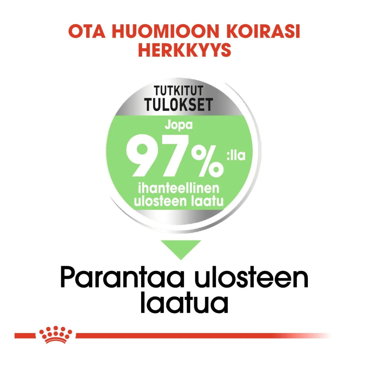 Royal Canin Koiran Kuivaruoka*Maxi Digestive Care