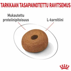 Royal Canin Koiranruoat Erityistapeisiin|Koiran Kuivaruoka*Maxi Light Weight Care