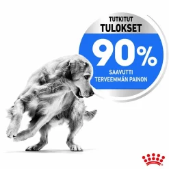 Royal Canin Koiranruoat Erityistapeisiin|Koiran Kuivaruoka*Maxi Light Weight Care