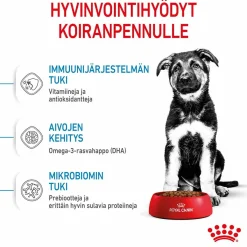 Royal Canin Penturuoka|Koiran Kuivaruoka*Maxi Puppy