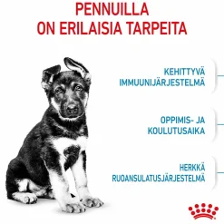 Royal Canin Penturuoka|Koiran Kuivaruoka*Maxi Puppy