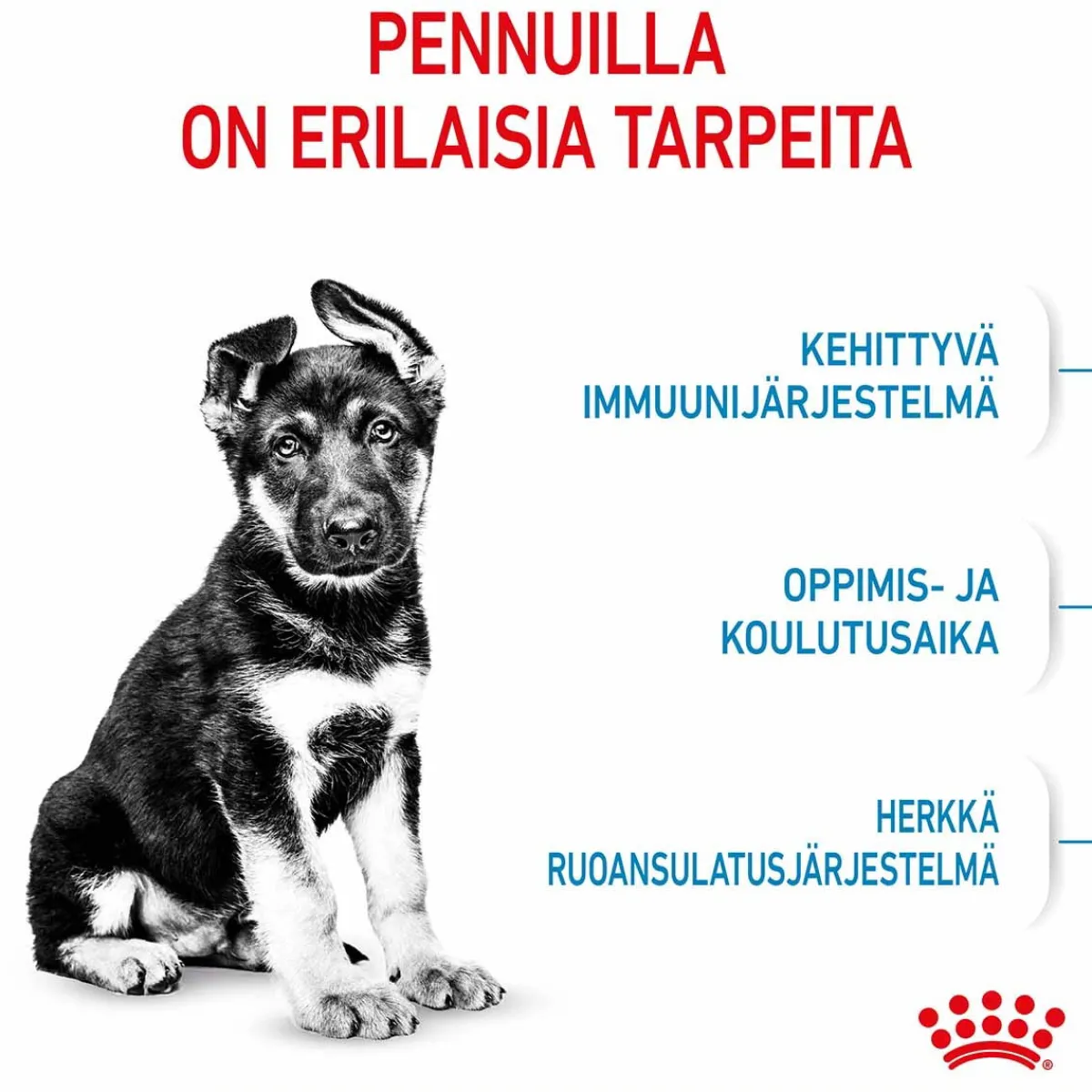 Royal Canin Penturuoka|Koiran Kuivaruoka*Maxi Puppy