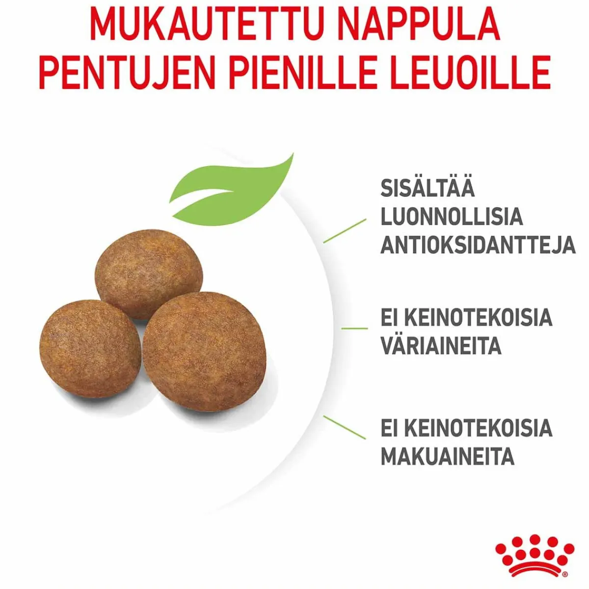 Royal Canin Penturuoka|Koiran Kuivaruoka*Maxi Puppy