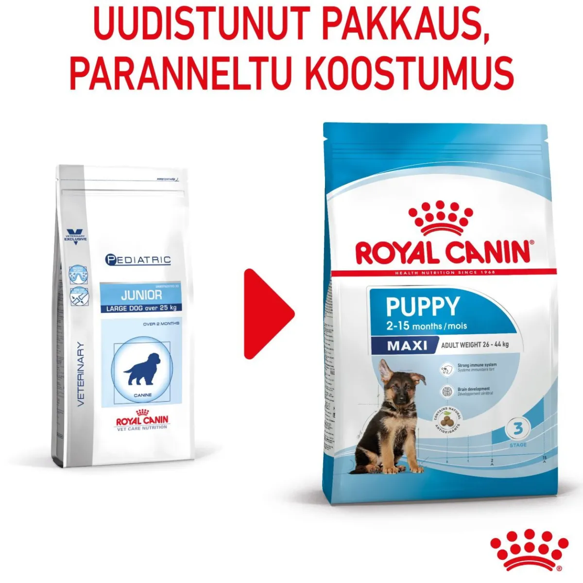 Royal Canin Penturuoka|Koiran Kuivaruoka*Maxi Puppy