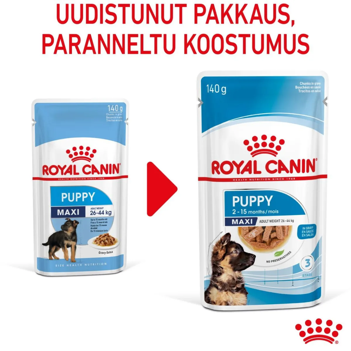 Royal Canin Penturuoka|Penturuoka*Maxi Puppy Wet 10x140g