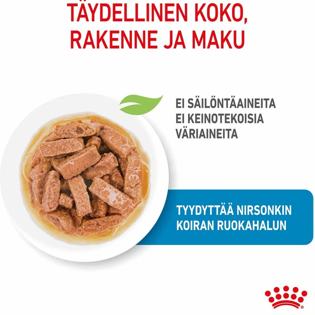 Royal Canin Penturuoka|Penturuoka*Maxi Puppy Wet 10x140g