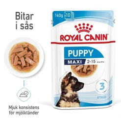 Royal Canin Penturuoka|Penturuoka*Maxi Puppy 40x140 g