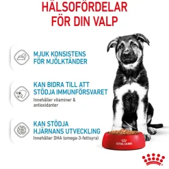 Royal Canin Penturuoka|Penturuoka*Maxi Puppy 40x140 g