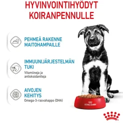 Royal Canin Penturuoka|Penturuoka*Maxi Puppy 40x140 g