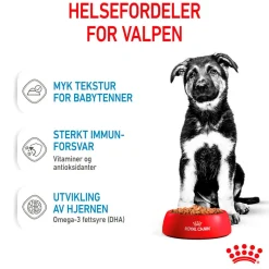 Royal Canin Penturuoka|Penturuoka*Maxi Puppy 40x140 g