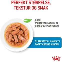 Royal Canin Penturuoka|Penturuoka*Maxi Puppy 40x140 g