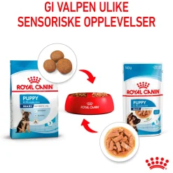 Royal Canin Penturuoka|Penturuoka*Maxi Puppy 40x140 g