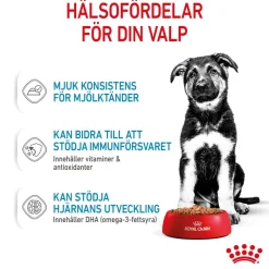 Royal Canin Penturuoka|Penturuoka*Maxi Puppy 40x140 g