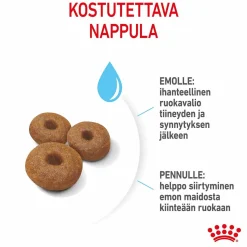 Royal Canin Penturuoka|Koiran Kuivaruoka*Maxi Starter