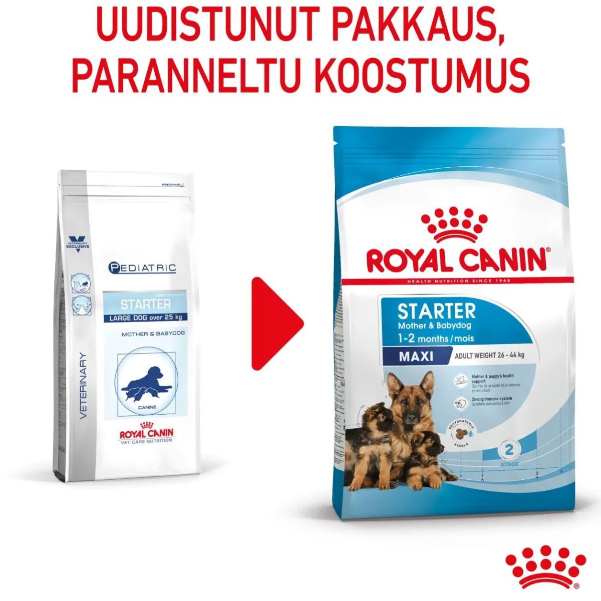 Royal Canin Penturuoka|Koiran Kuivaruoka*Maxi Starter