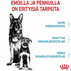 Royal Canin Penturuoka|Koiran Kuivaruoka*Maxi Starter