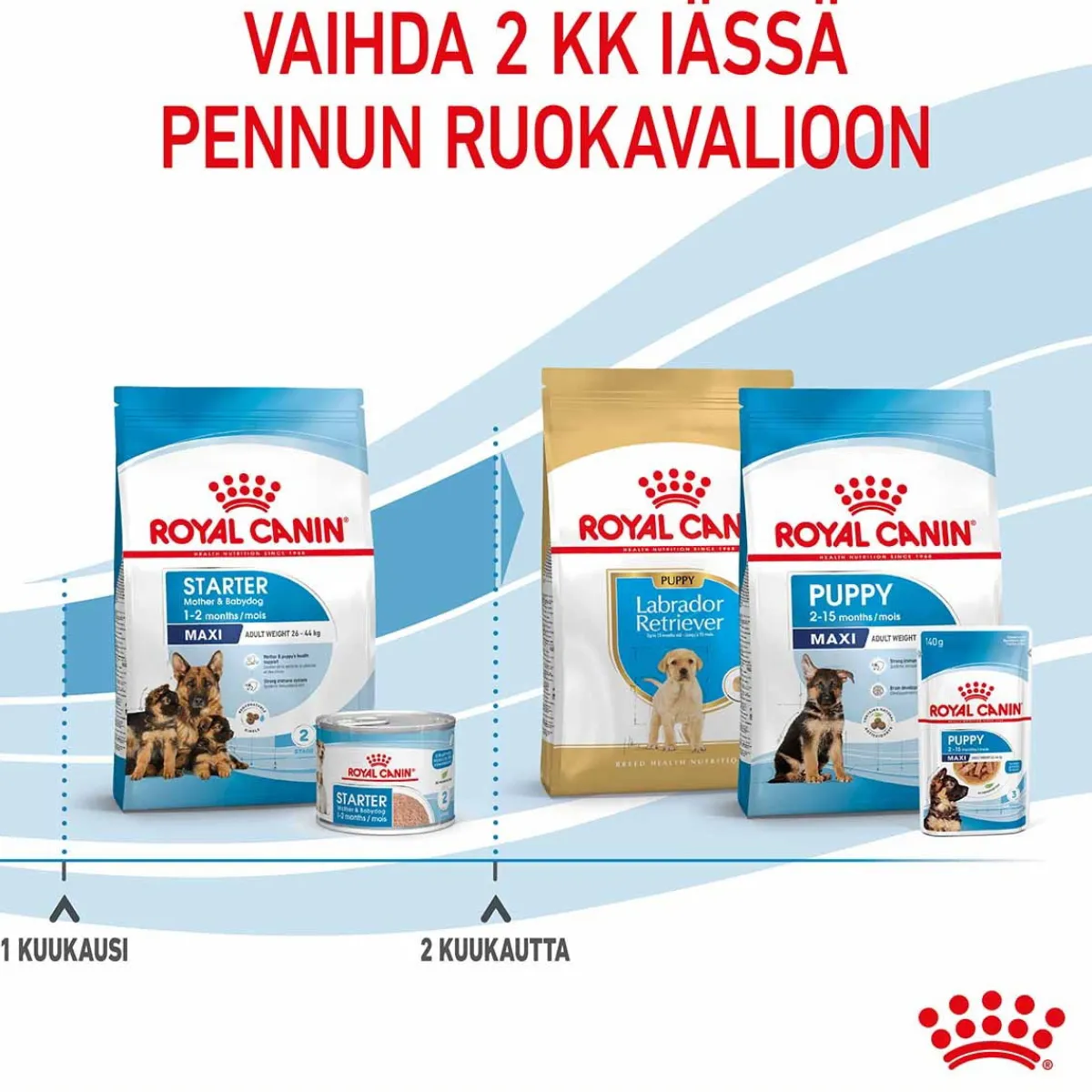 Royal Canin Penturuoka|Koiran Kuivaruoka*Maxi Starter
