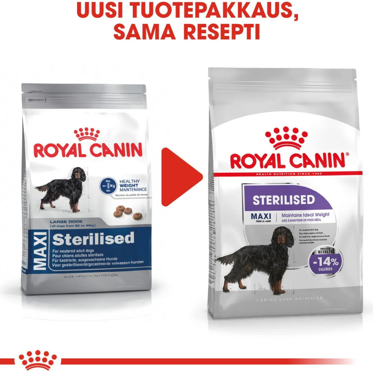 Royal Canin Koiranruoat Erityistapeisiin|Koiran Kuivaruoka*Maxi Sterilised, 12 kg