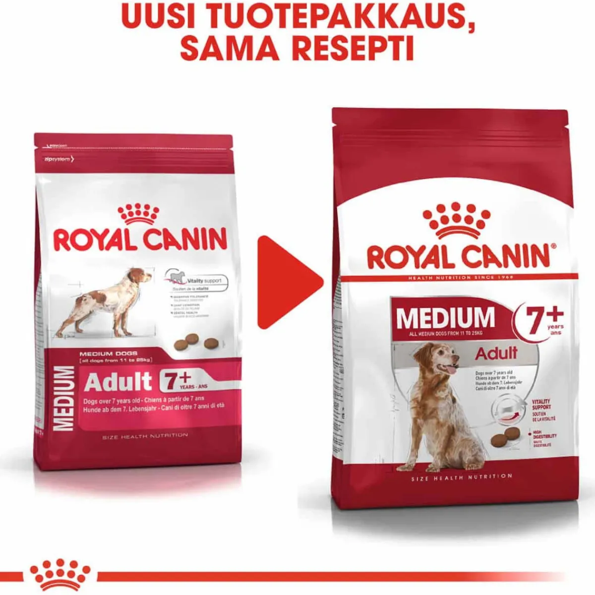 Royal Canin Koiran Kuivaruoka|Senioriruoka*Medium Adult 7+