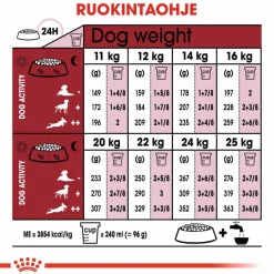 Royal Canin Koiran Kuivaruoka|Senioriruoka*Medium Adult 7+