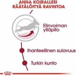Royal Canin Koiran Kuivaruoka|Senioriruoka*Medium Adult 7+