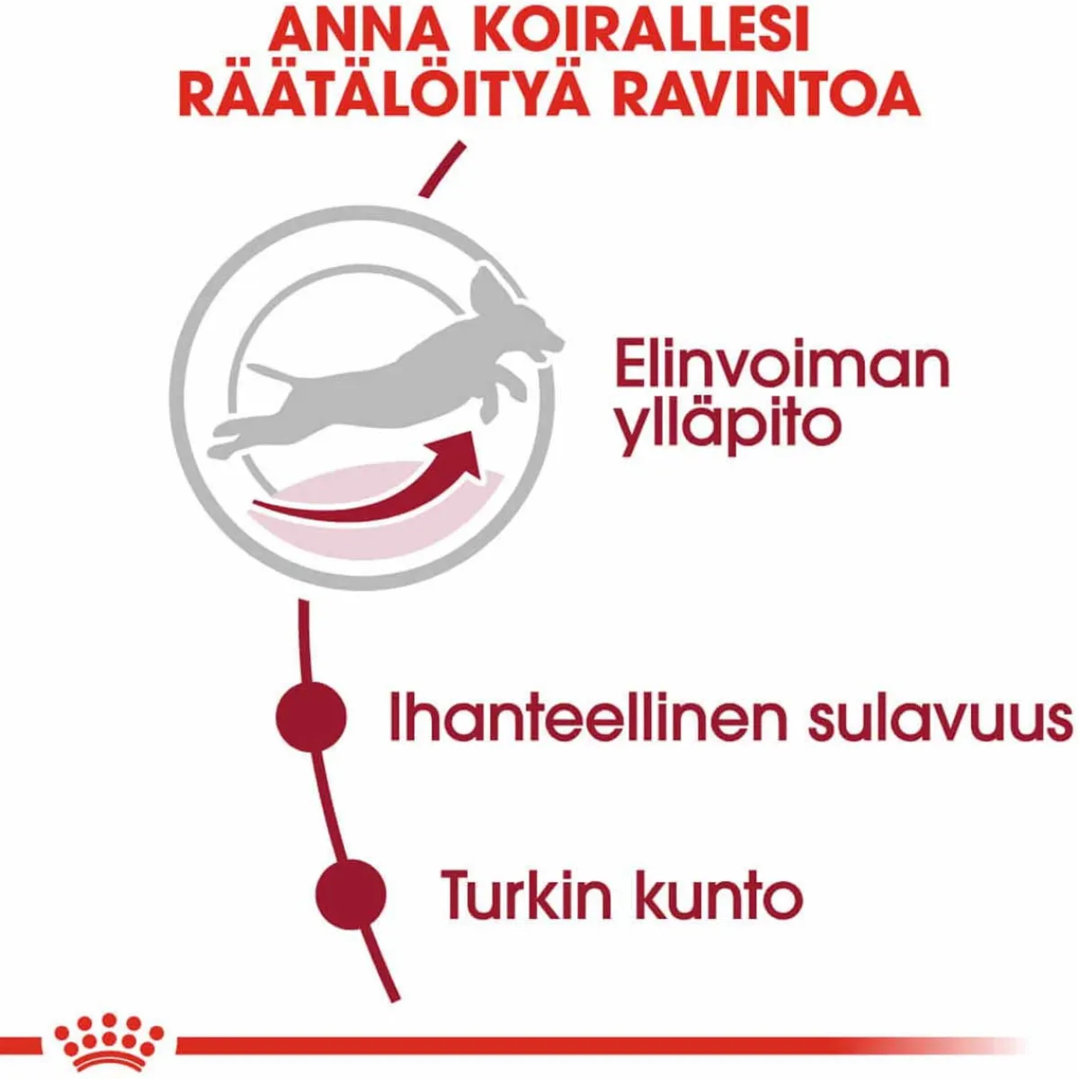 Royal Canin Koiran Kuivaruoka|Senioriruoka*Medium Adult 7+