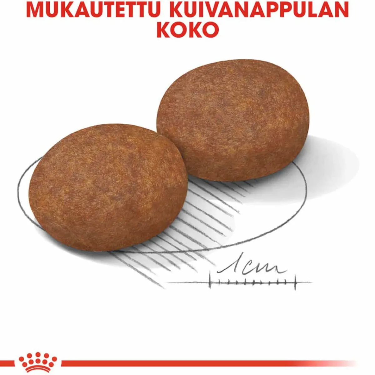 Royal Canin Koiran Kuivaruoka|Senioriruoka*Medium Adult 7+