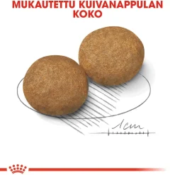 Royal Canin Koiran Kuivaruoka*Medium Adult