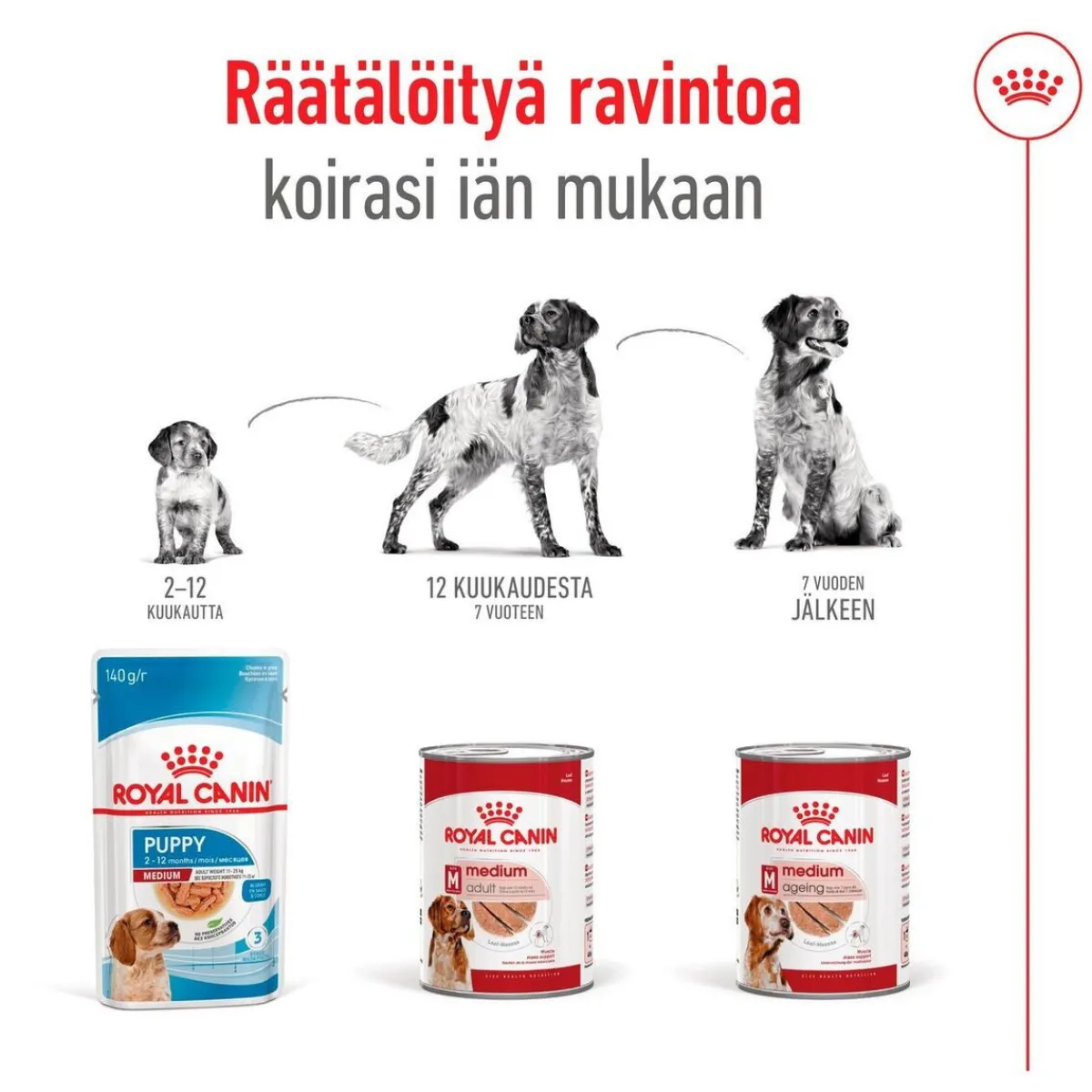 Royal Canin Koiran Märkäruoka Ja Makkarat*Medium Adult loaf 410 g