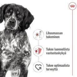 Royal Canin Koiran Märkäruoka Ja Makkarat*Medium Adult loaf 410 g