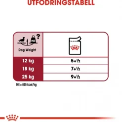 Royal Canin Koiran Märkäruoka Ja Makkarat*Medium Adult 40 x 140 g