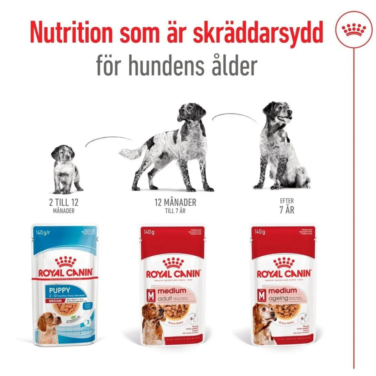 Royal Canin Koiran Märkäruoka Ja Makkarat*Medium Adult 40 x 140 g