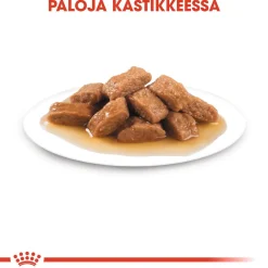 Royal Canin Koiran Märkäruoka Ja Makkarat*Medium Adult 40 x 140 g