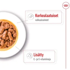 Royal Canin Koiran Märkäruoka Ja Makkarat*Medium Adult 40 x 140 g