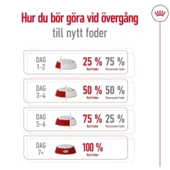 Royal Canin Koiran Kuivaruoka*Medium Adult 7+ 2 x 15kg
