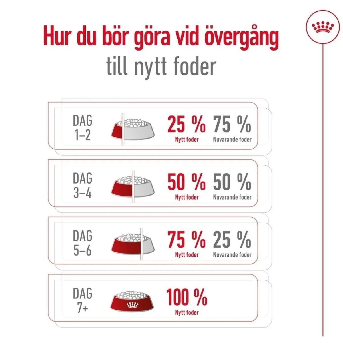 Royal Canin Koiran Kuivaruoka*Medium Adult 7+ 2 x 15kg